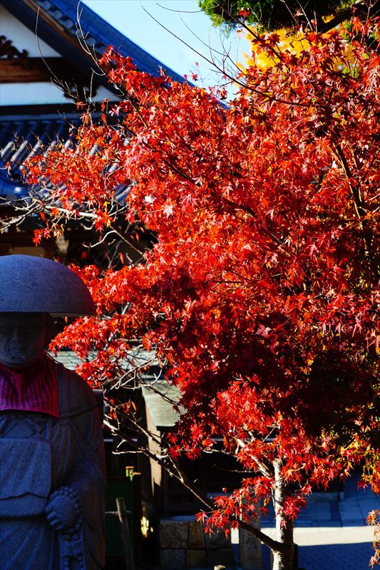 1122_神戸市須磨寺_兵庫