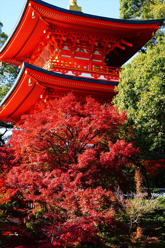 1126_神戸市須磨寺_兵庫