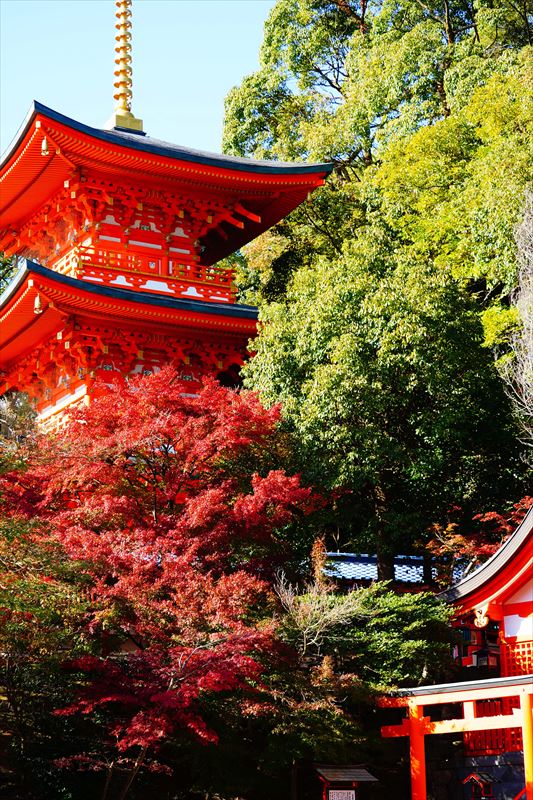 1129_神戸市須磨寺_兵庫