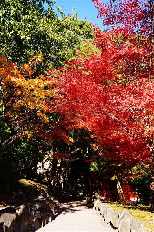 1131_神戸市須磨寺_兵庫