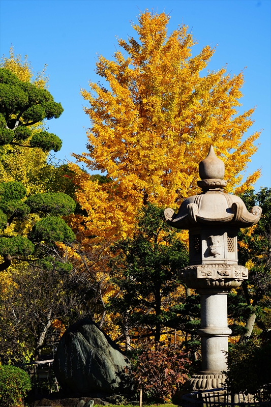 1136_神戸市須磨寺_兵庫