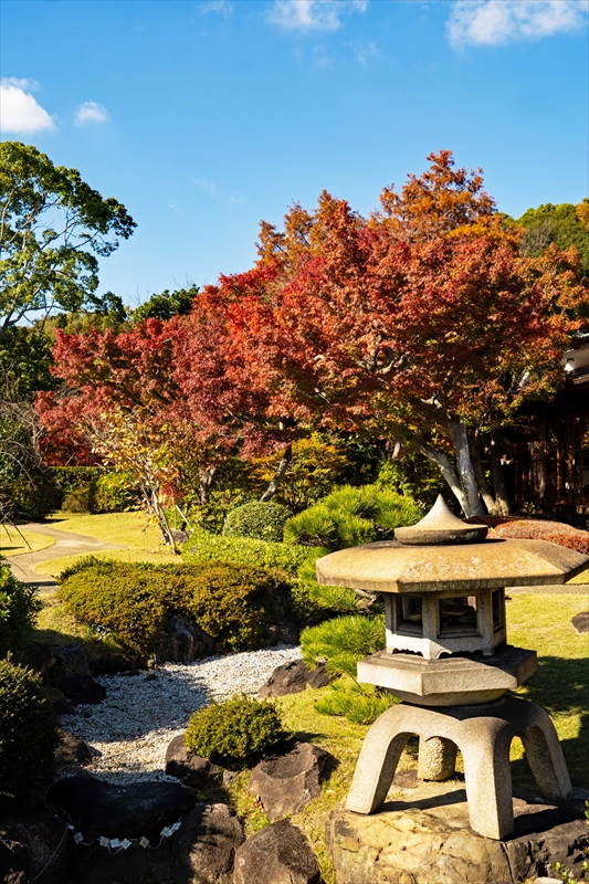 1147_神戸市須磨離宮公園_兵庫