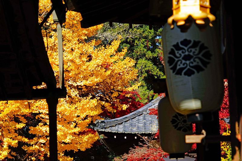 1183_手向山八幡宮_奈良
