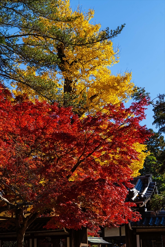 1186_手向山八幡宮_奈良