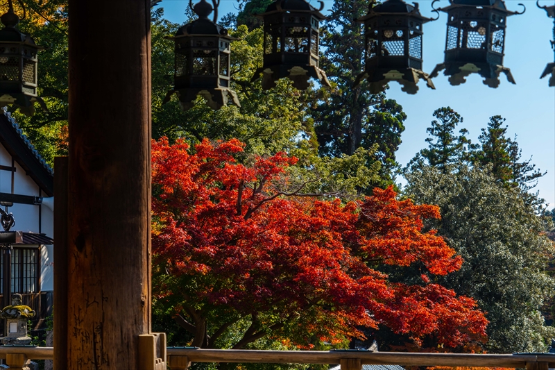 1192_東大寺二月堂_奈良