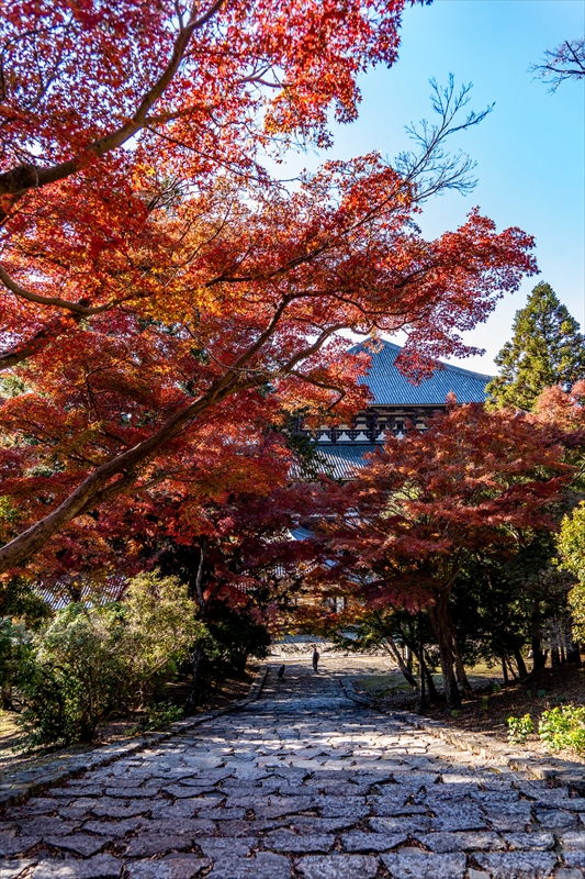 1212_東大寺大仏殿_奈良