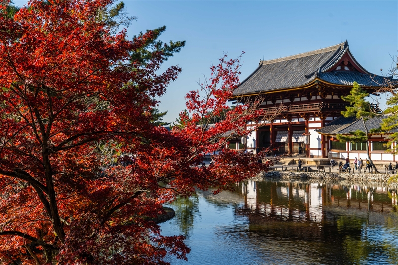 1214_東大寺大仏殿_奈良