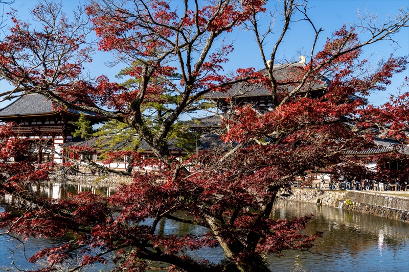 1215_東大寺大仏殿_奈良