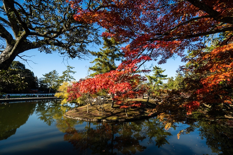 1209_東大寺鏡池_奈良