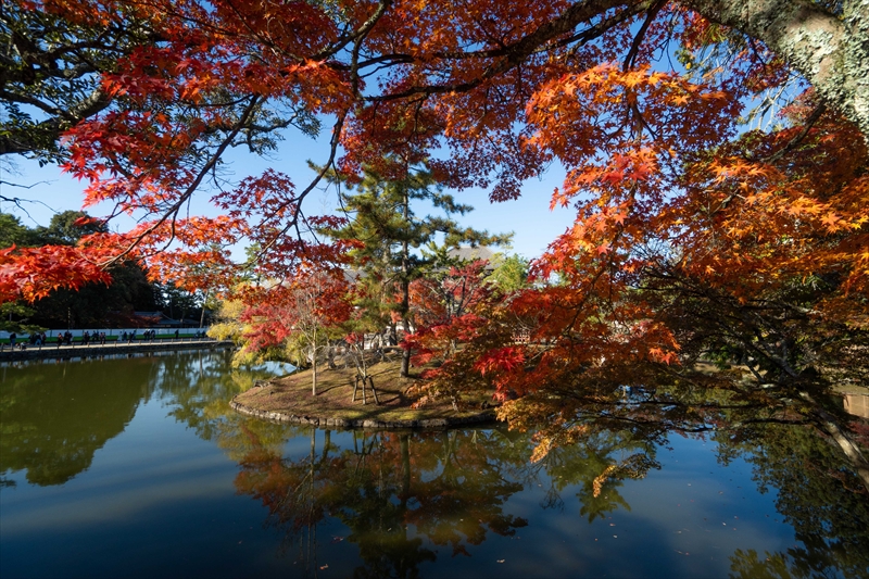 1210_東大寺鏡池_奈良