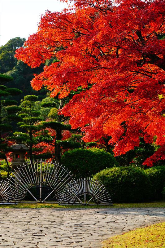 1220_下関市長府庭園_山口