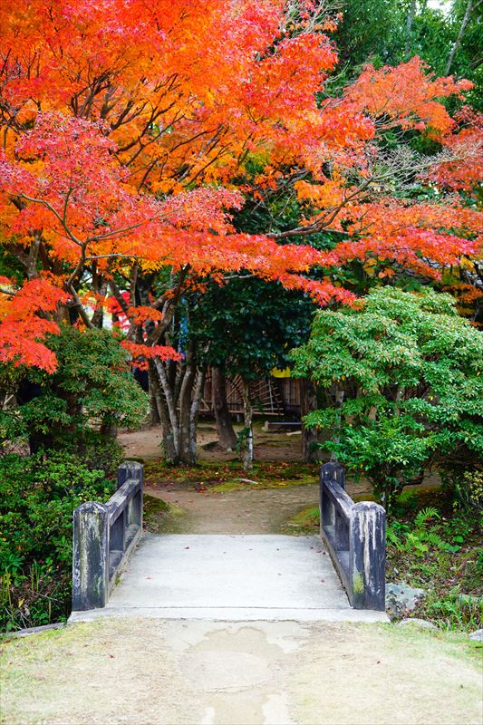 1224_下関市長府庭園_山口