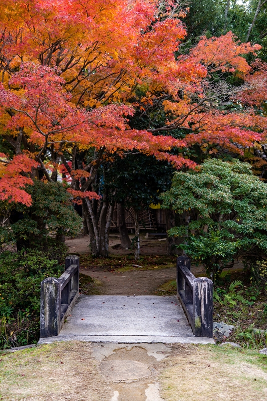 1224_下関市長府庭園_山口