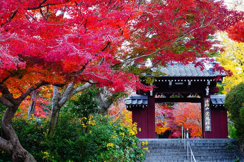 1021_下関市覚苑寺_山口