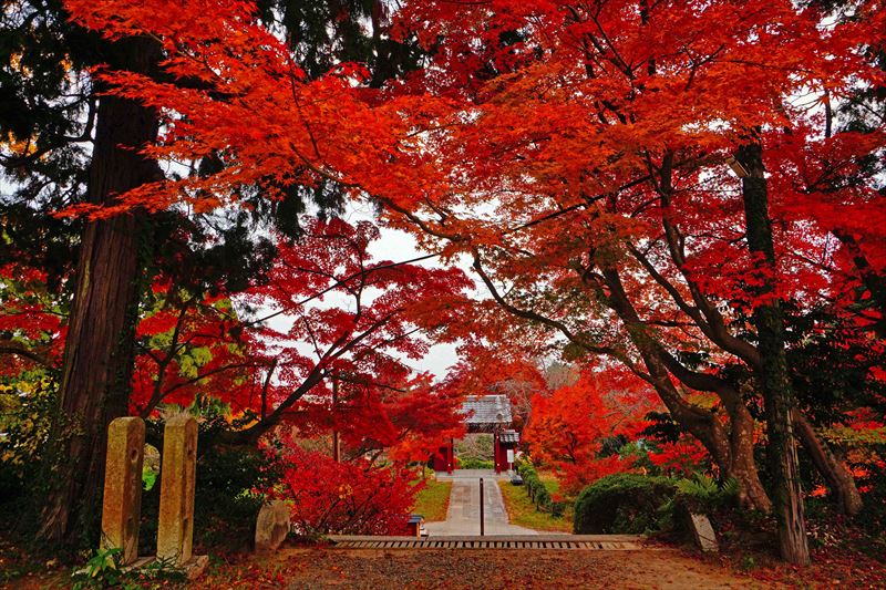 1236_下関市覚苑寺_山口