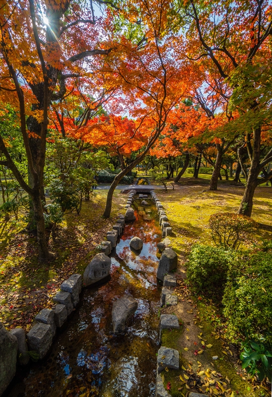 1248_東公園_福岡