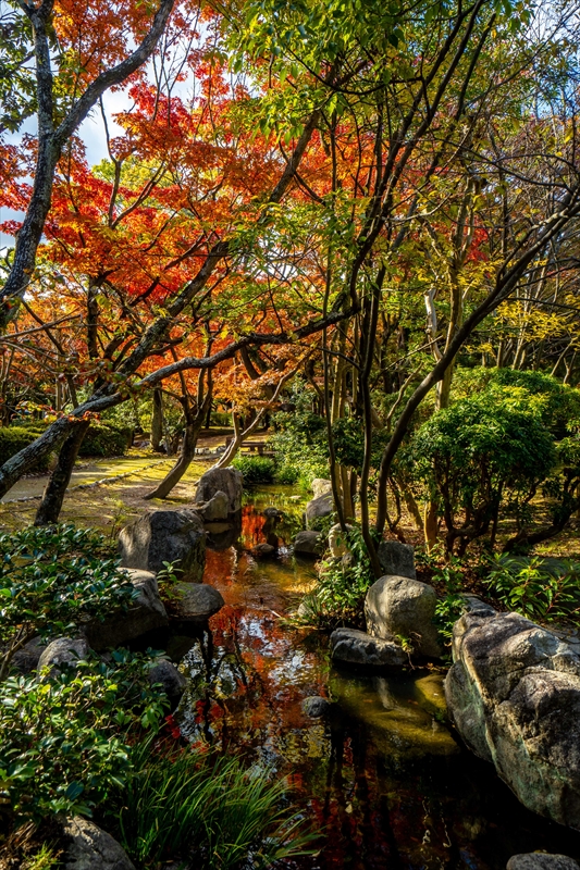 1249_東公園_福岡