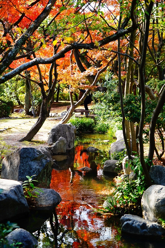 1251_東公園_福岡