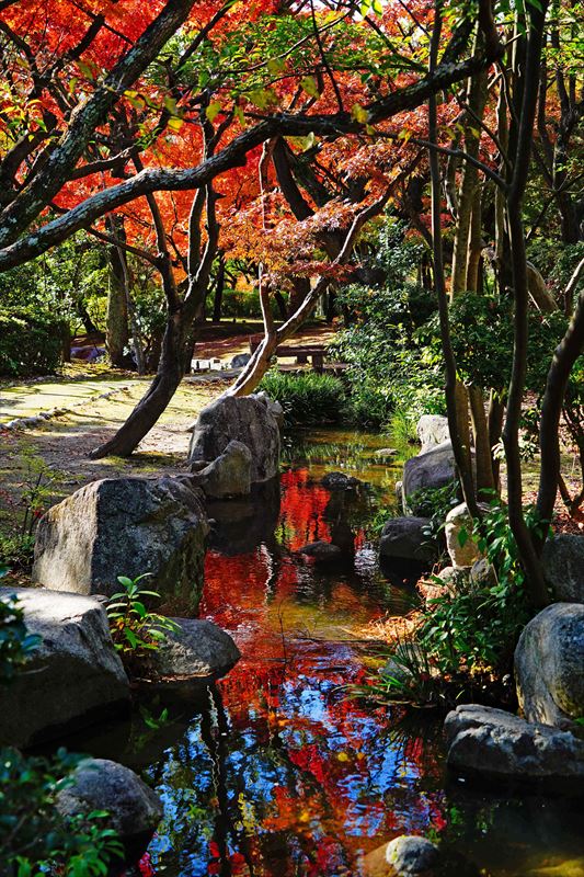 1254_東公園_福岡