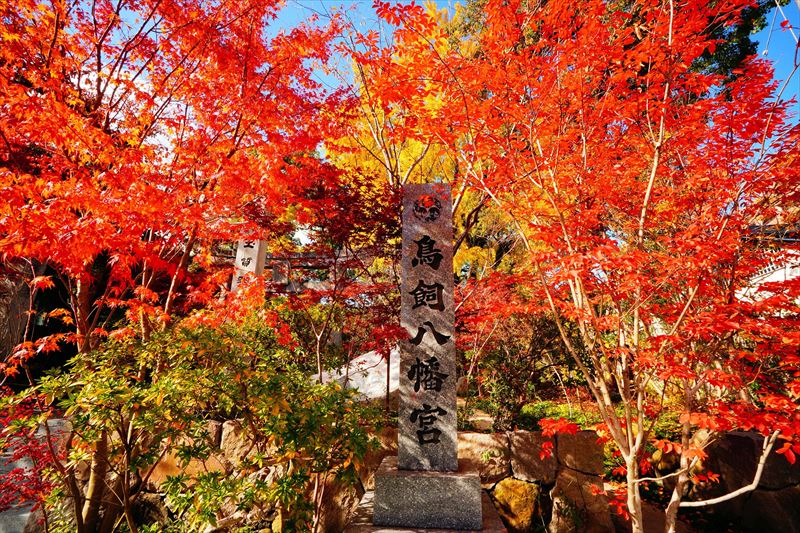 1270_鳥飼八幡宮_福岡