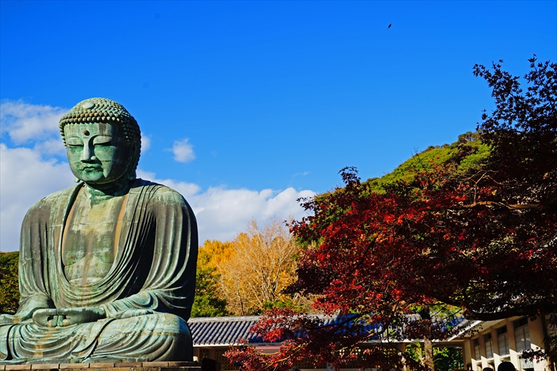 1093_鎌倉大仏_神奈川