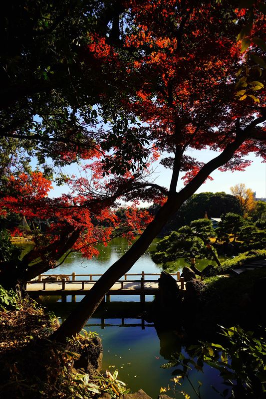 1070_江東区清澄庭園_東京