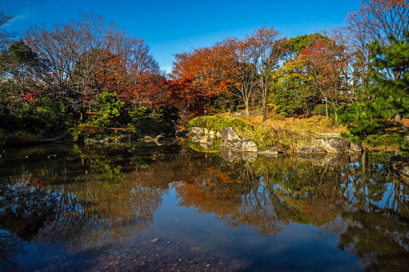 1082_江東区猿江恩賜公園_東京