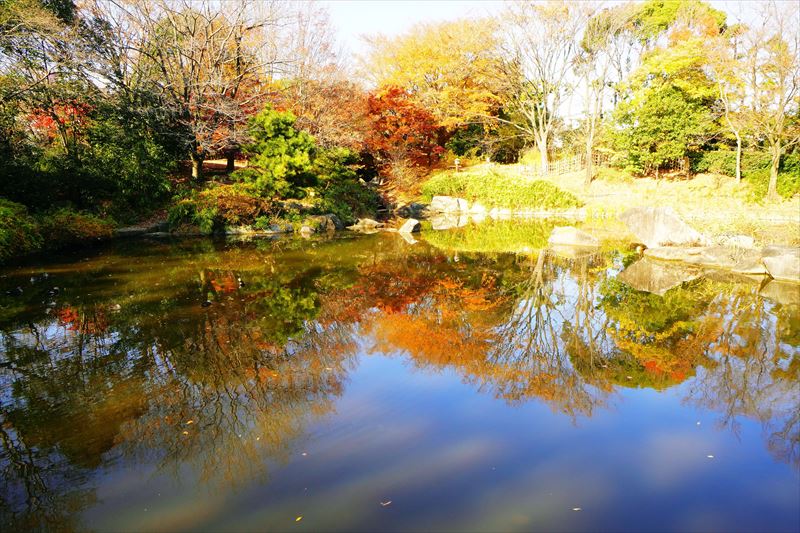 1083_江東区猿江恩賜公園_東京