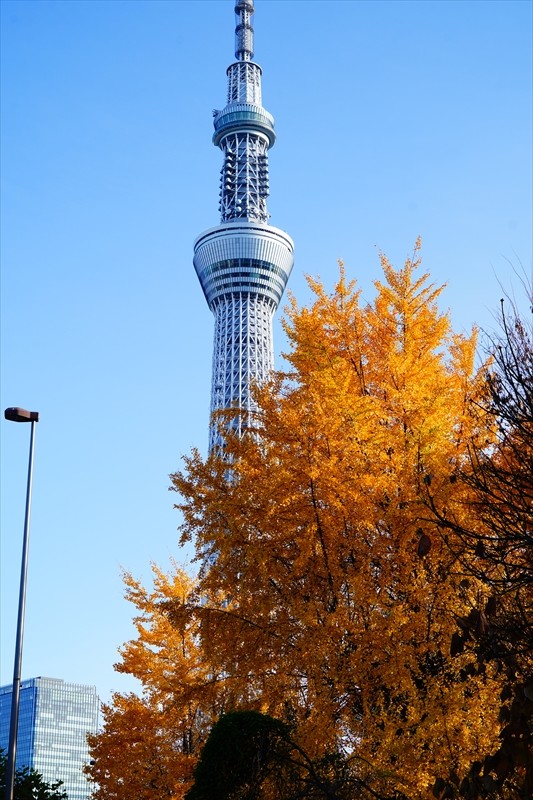 1088_江東区猿江恩賜公園_東京
