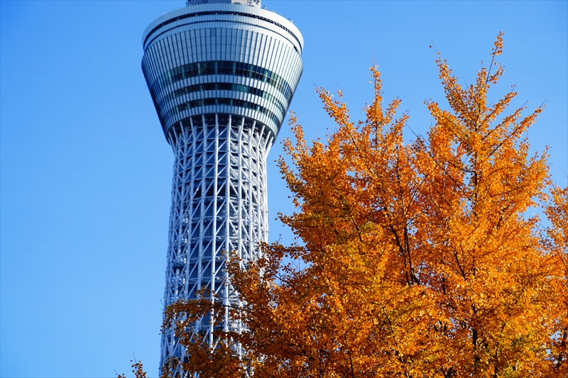 1089_江東区猿江恩賜公園_東京