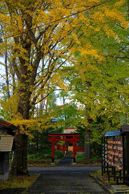 1055_函館亀田八幡宮_北海道