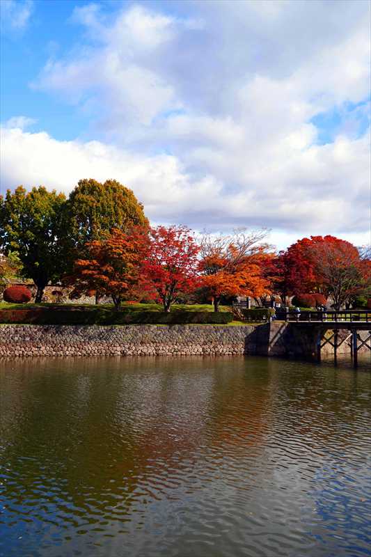 1011_函館五稜郭公園_北海道