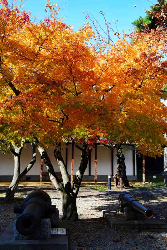 1016_函館五稜郭公園_北海道
