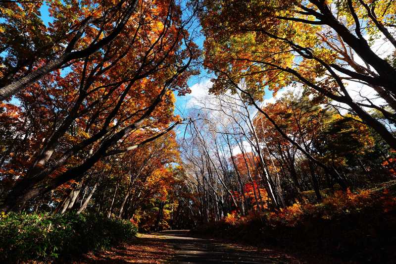 1029_函館見晴公園_北海道
