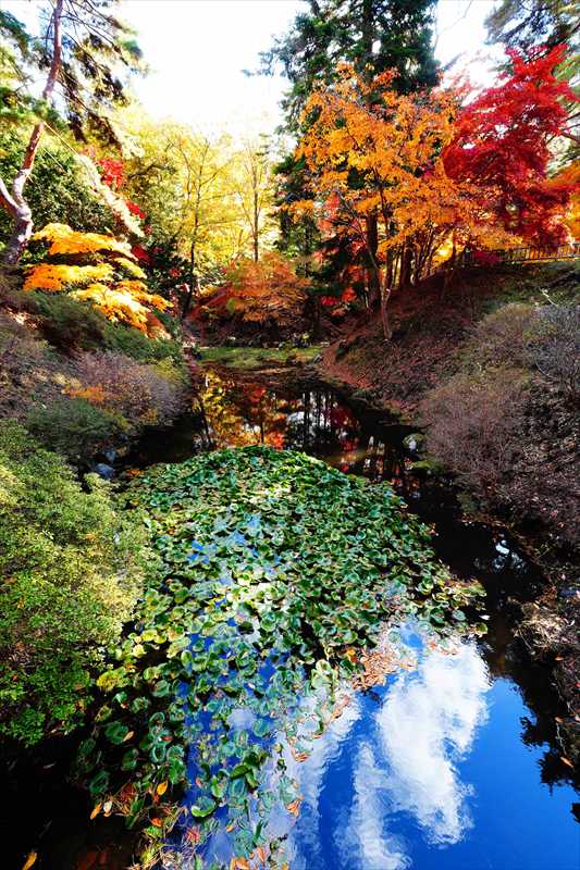 1031_函館見晴公園_北海道