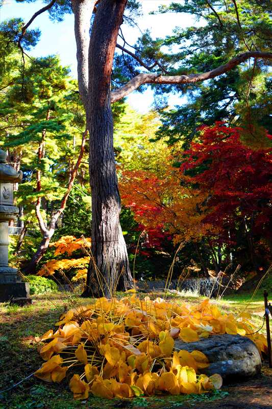 1032_函館見晴公園_北海道