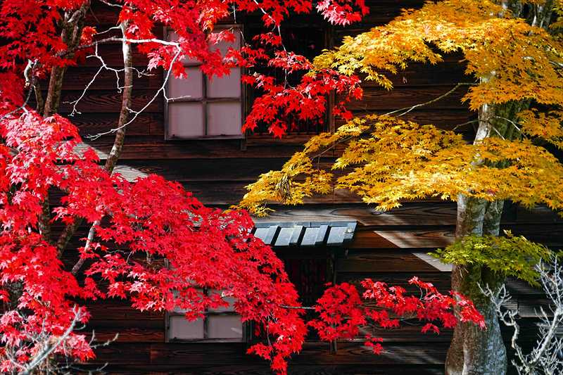 1040_函館見晴公園_北海道