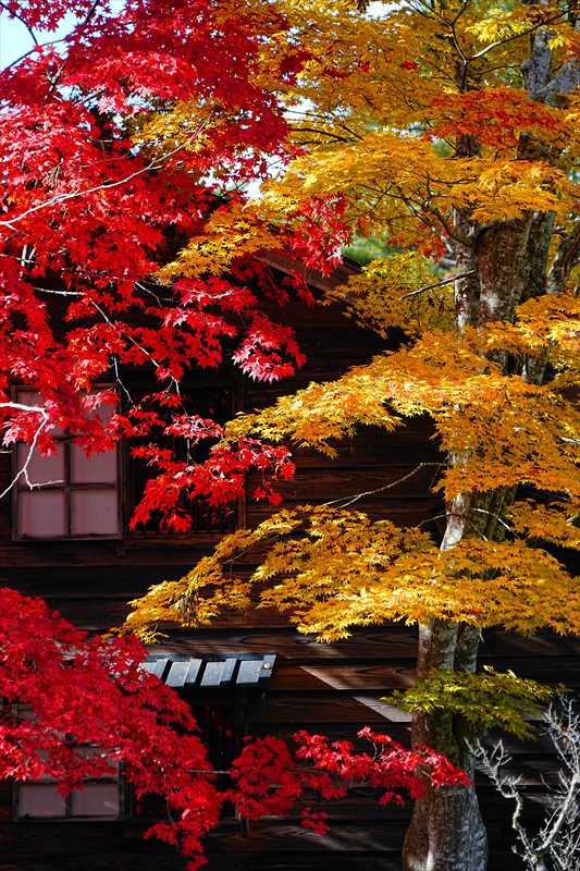 1041_函館見晴公園_北海道