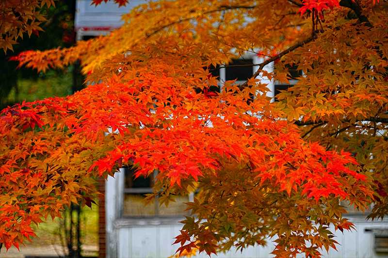 1042_函館見晴公園_北海道