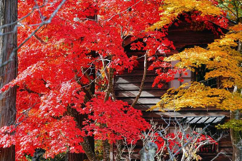 1043_函館見晴公園_北海道