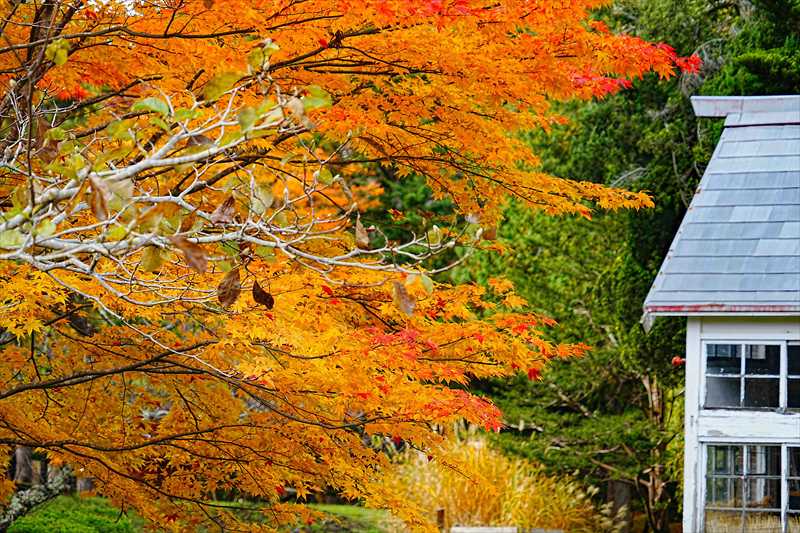 1044_函館見晴公園_北海道