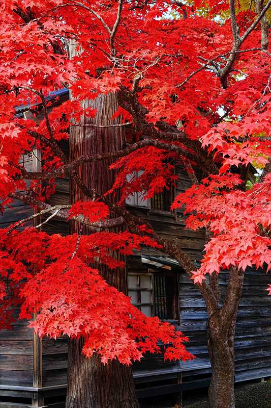 1046_函館見晴公園_北海道