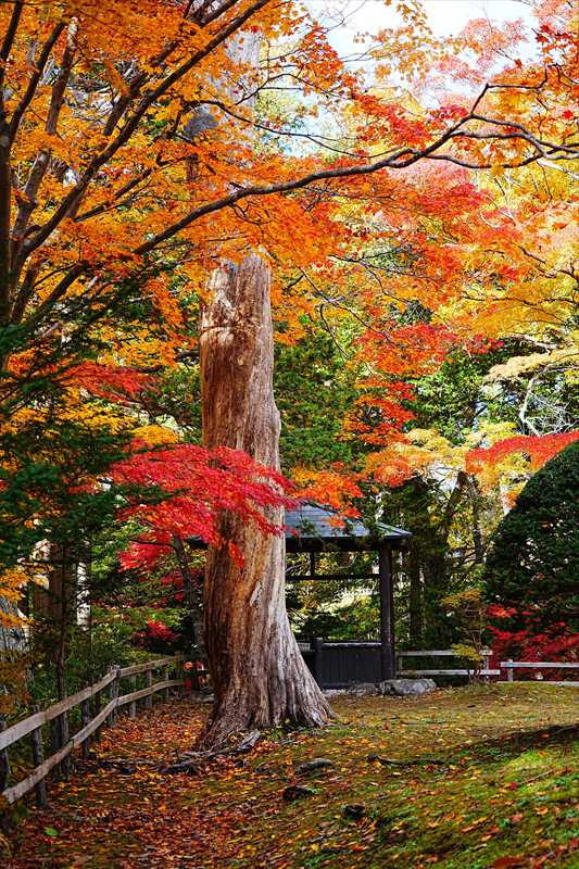 1048_函館見晴公園_北海道