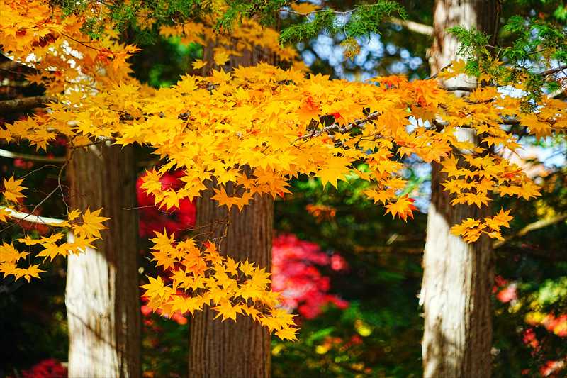 1049_函館見晴公園_北海道