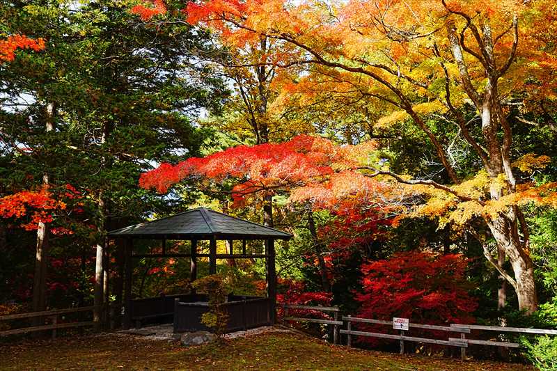 1051_函館見晴公園_北海道