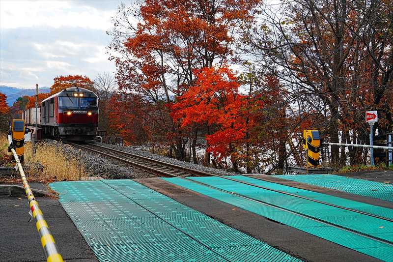 1066_大沼公園_北海道
