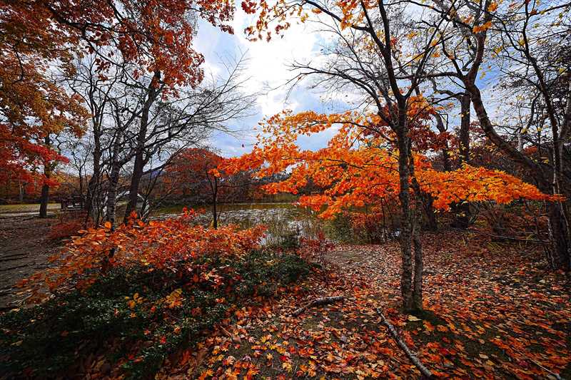 1079_大沼公園_北海道