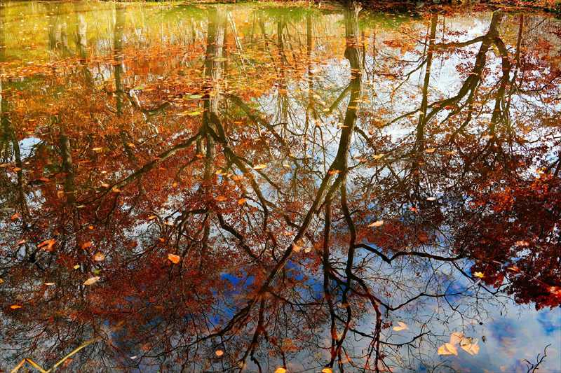 1083_大沼公園_北海道