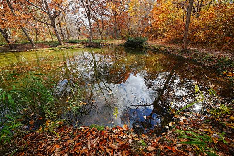 1085_大沼公園_北海道