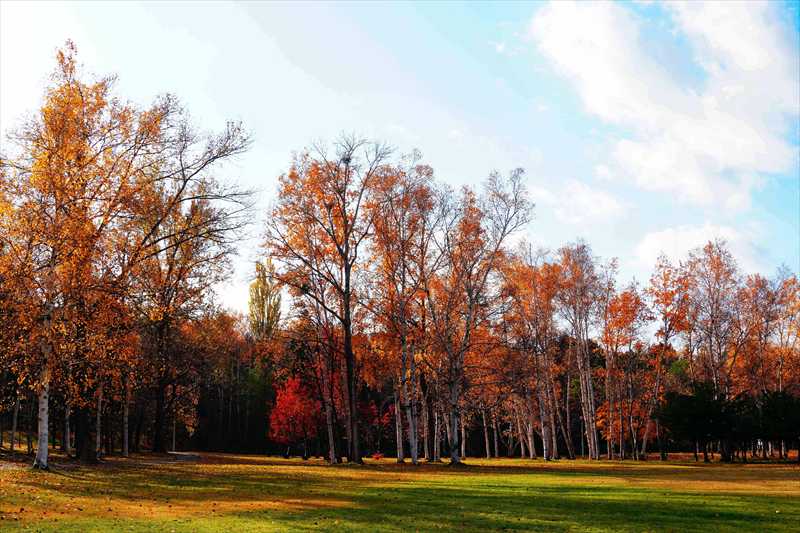 1110_札幌真駒内公園_北海道